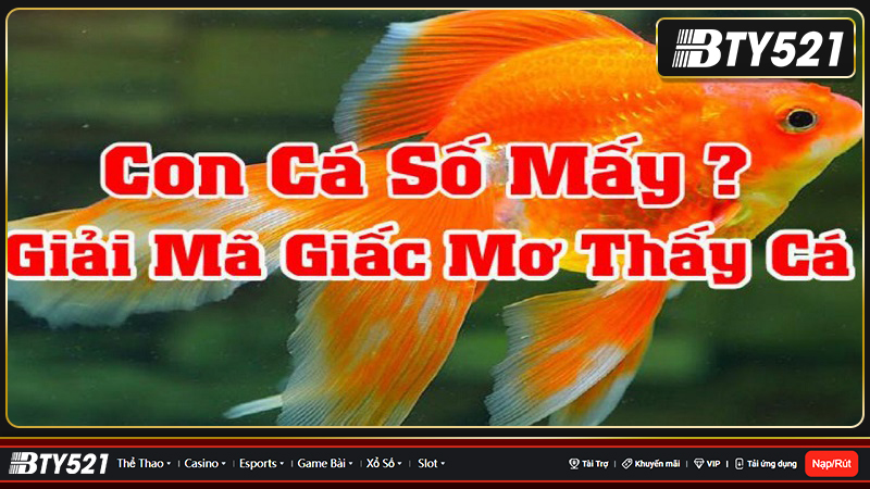 Mơ thấy cá đánh con số gì may mắn